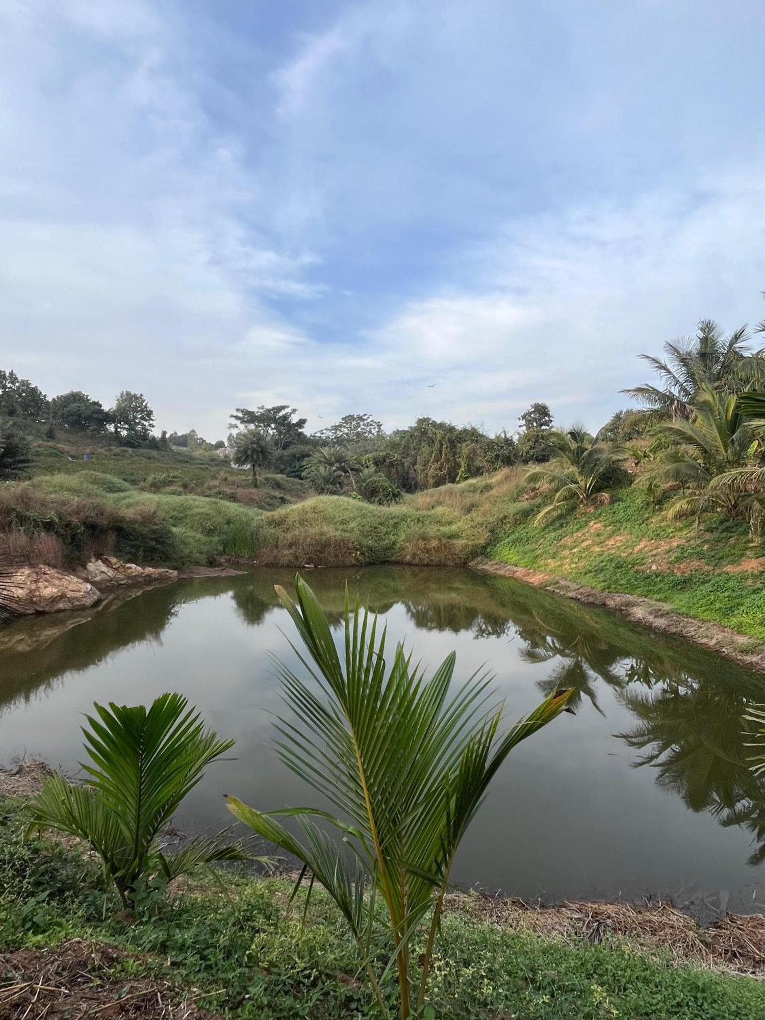 העיר בנגלור Gandhadagudi Nature Retreat מראה חיצוני תמונה